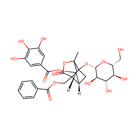 4-O-没食子酰白芍苷结构图