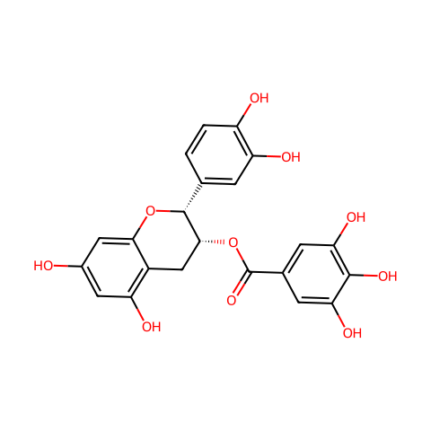 表儿茶素没食子酸酯结构图