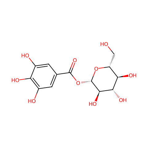 β-Glucogalin结构图