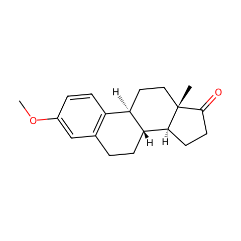 3-Methoxy-Estrone结构图