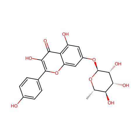 Kaempferol 7-O-rhamnoside结构图