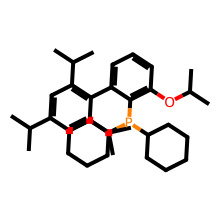 二环已基（3-异丙氧-2′,4′,6′-三异丙基- [1,1′-联苯 ]-2-基）膦结构图