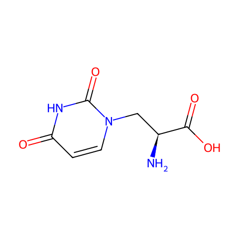 (S)-Willardiine结构图