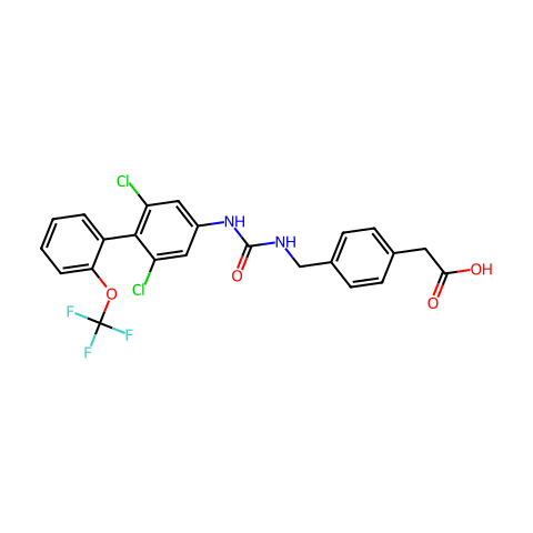 RORγt inverse agonist 13结构图
