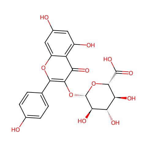 Kaempferol 3-O-β-D-glucuronide结构图