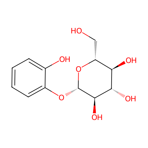 Pyrocatechol monoglucoside结构图