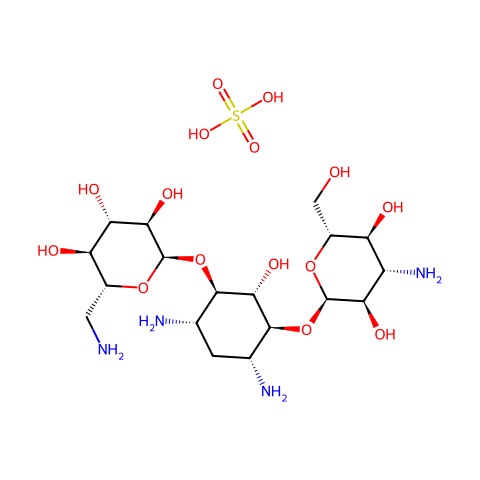 卡那霉素 硫酸酯 来源于卡那霉素链霉菌结构图