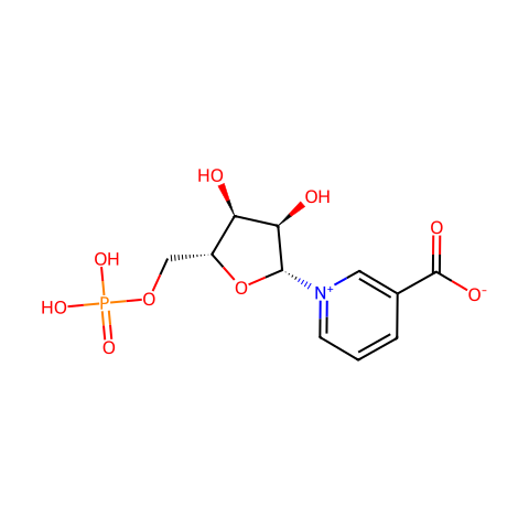NICOTINIC ACID MONONUCLEOTIDE结构图