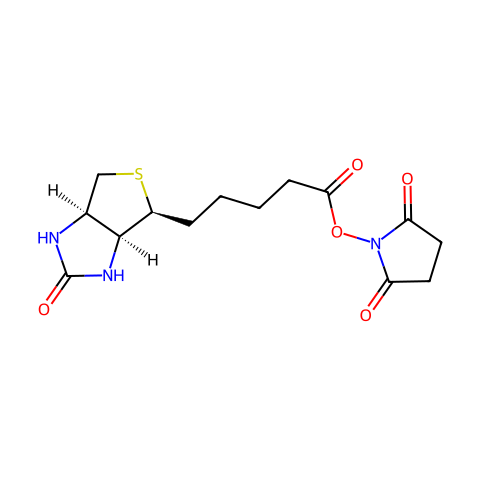 N-羟基琥珀酰亚胺生物素结构图