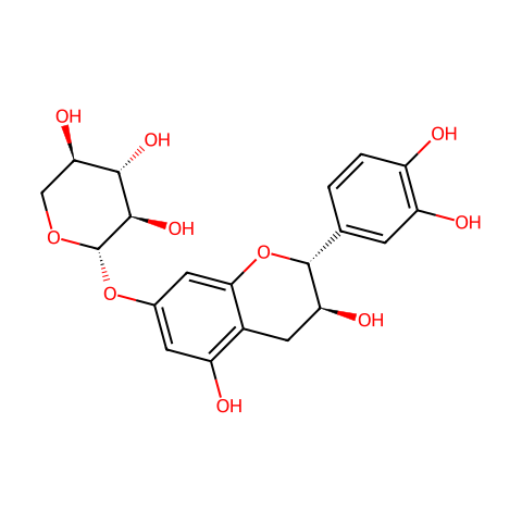 7-木糖苷儿茶酚结构图