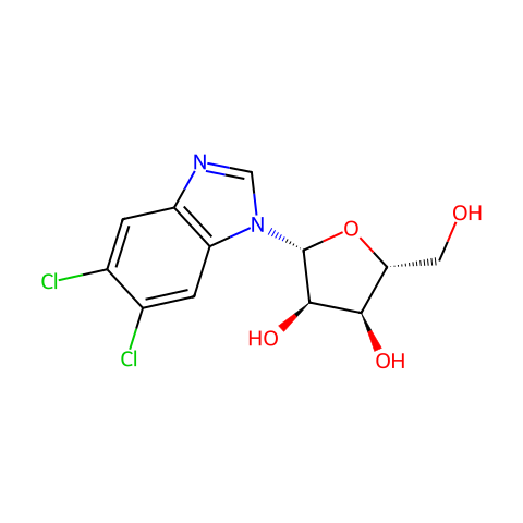 5,6-二氯苯并咪唑1-β-D-次黄嘌呤结构图