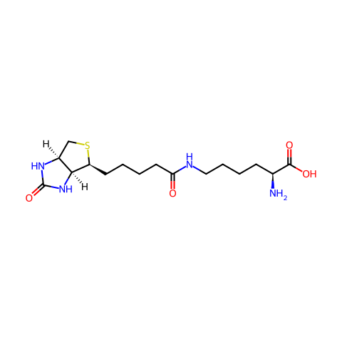 Biocytin结构图