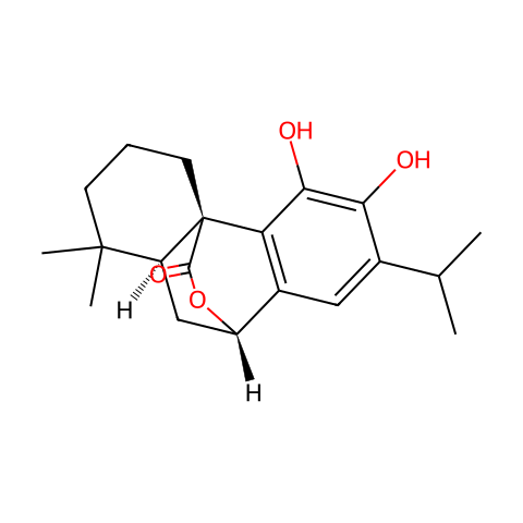 鼠尾草酚结构图