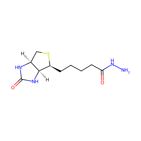 生物素酰肼结构图