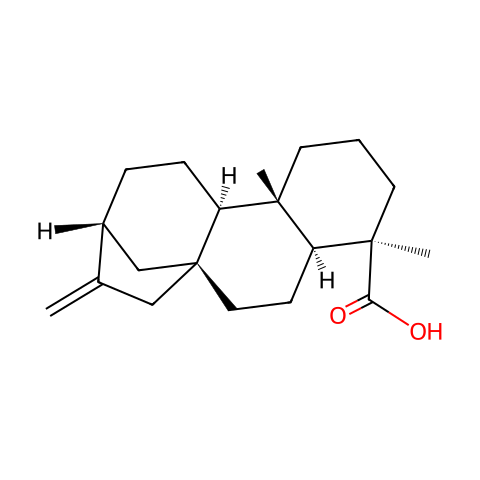 异贝壳杉烯酸结构图