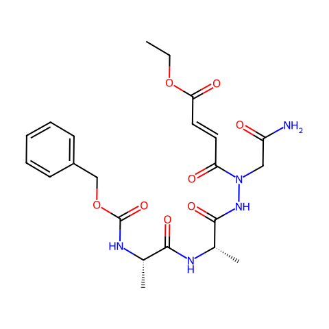 RR-11a analog结构图