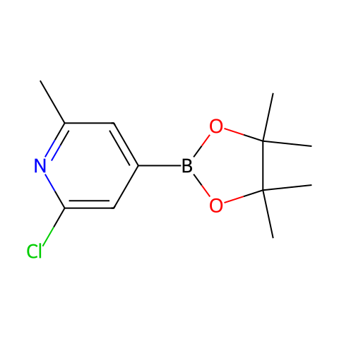 2-CHLORO-6-METHYLPYRIDINE-4-BORONIC ACID, PINACOL ESTER结构图