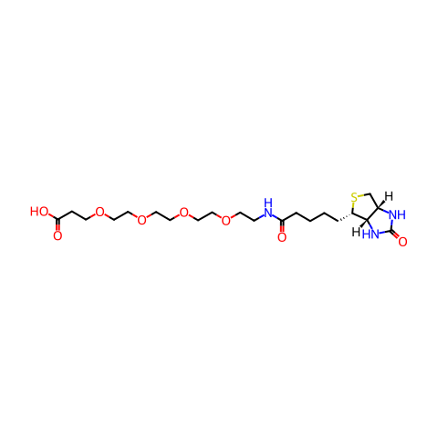 (+)-生物素-PEG 4 -丙酸结构图