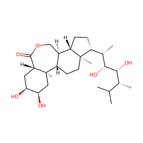 24-表油菜素内酯结构图
