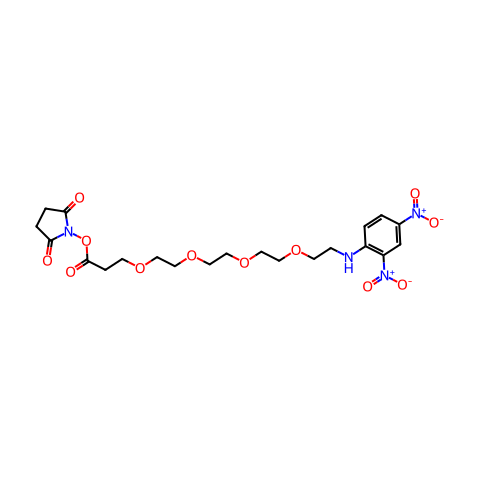 DNP-PEG4-NHS酯结构图