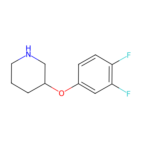 3-（3,4-二氟苯氧基）哌啶结构图