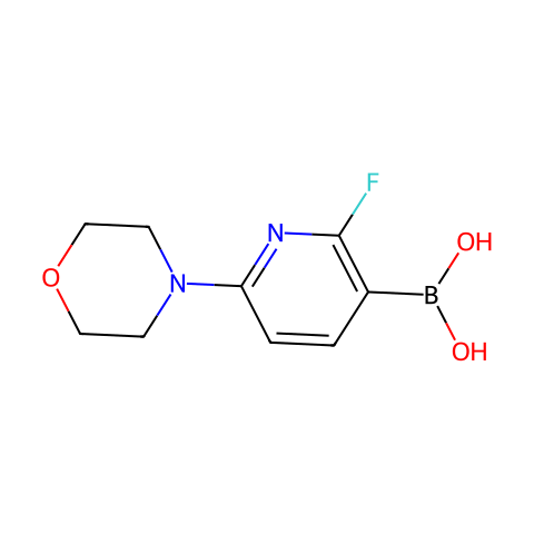 2-氟-6-(4-吗啉基)吡啶-3-硼酸结构图