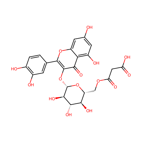 槲皮素-3-O-(6”-O-乙酰基)-β-D-吡喃葡萄糖苷结构图